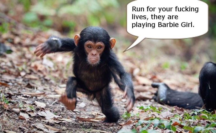 _Baby chimpanzee